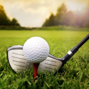 Unlimited Membership - Annual (Monthly charge)